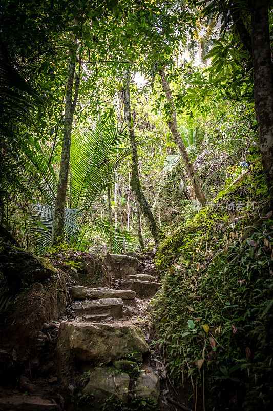 古巴Escambray山脉Topes de Collantes的台阶